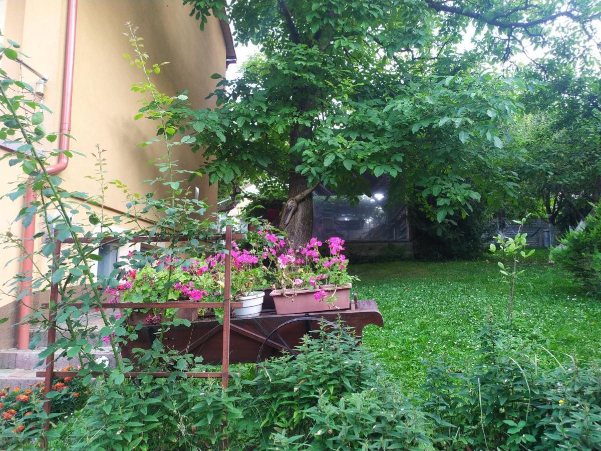 Apartament W Domu Na Wsi Tomaszów Lubelski Exteriér fotografie