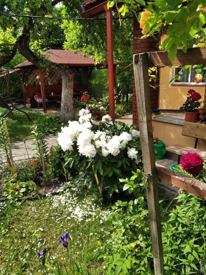 Apartament W Domu Na Wsi Tomaszów Lubelski Exteriér fotografie