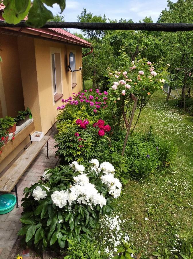 Apartament W Domu Na Wsi Tomaszów Lubelski Exteriér fotografie