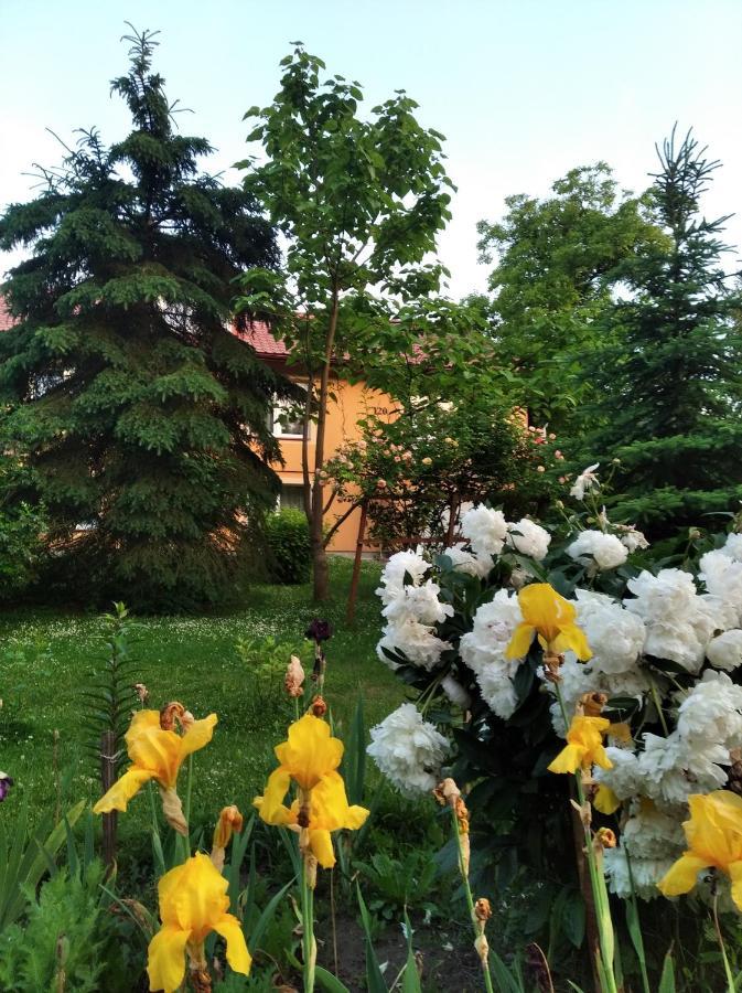 Apartament W Domu Na Wsi Tomaszów Lubelski Exteriér fotografie