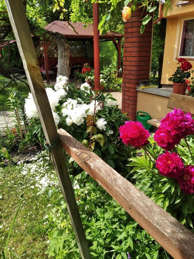 Apartament W Domu Na Wsi Tomaszów Lubelski Exteriér fotografie