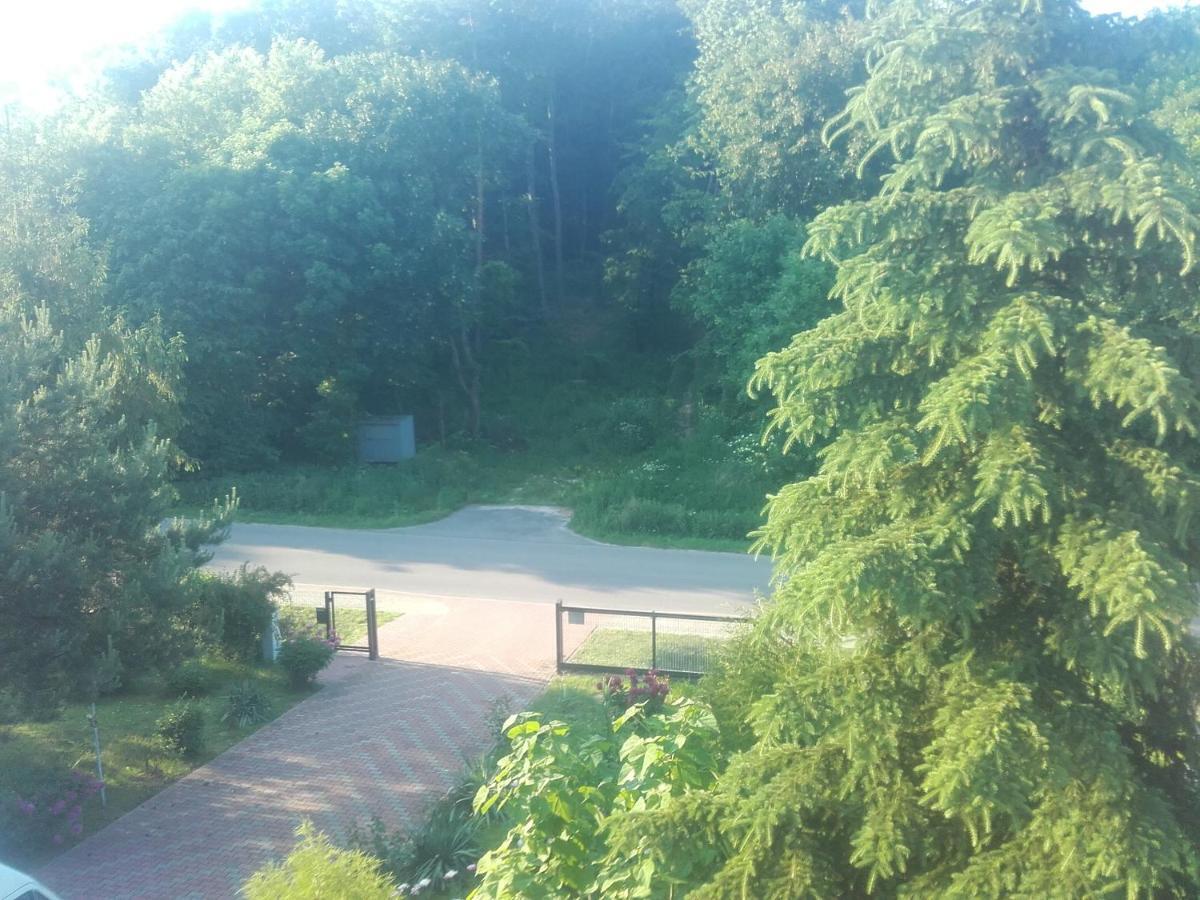 Apartament W Domu Na Wsi Tomaszów Lubelski Exteriér fotografie