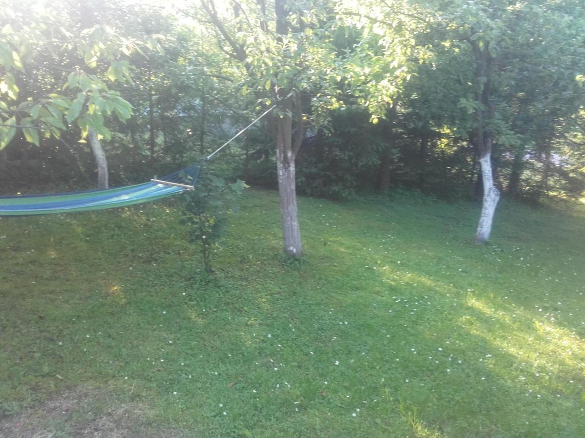 Apartament W Domu Na Wsi Tomaszów Lubelski Exteriér fotografie
